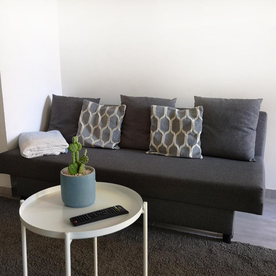 Appartement Avec Jardin - Centre Кастельнодари Экстерьер фото