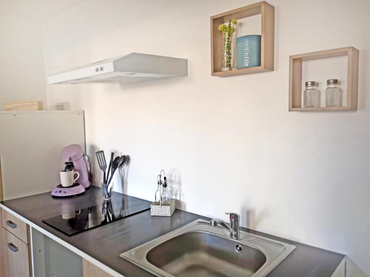Appartement Avec Jardin - Centre Кастельнодари Экстерьер фото