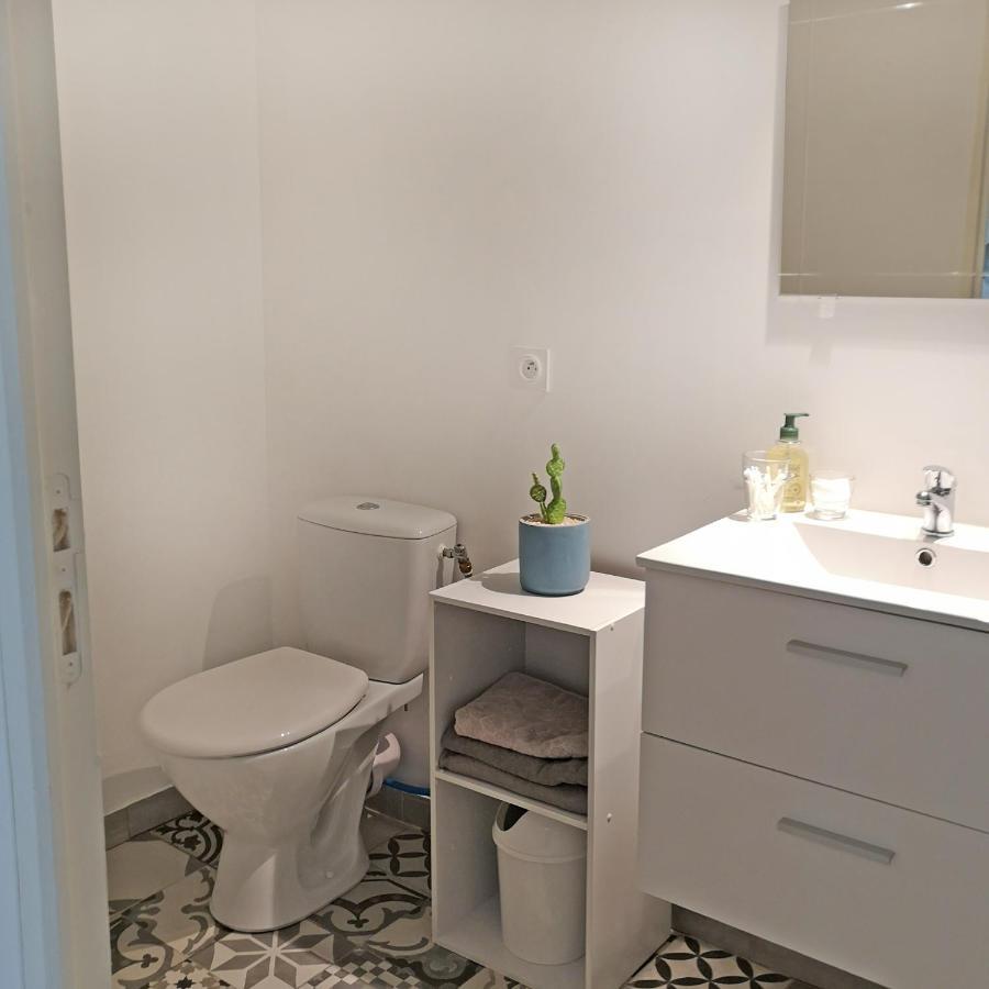 Appartement Avec Jardin - Centre Кастельнодари Экстерьер фото