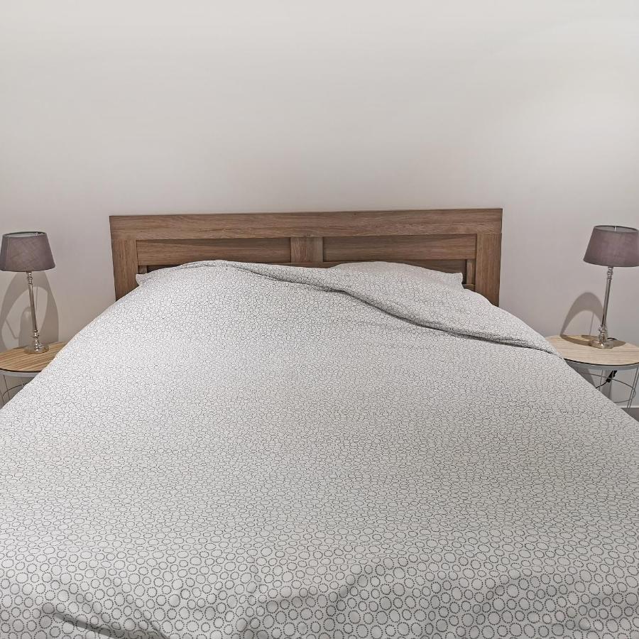 Appartement Avec Jardin - Centre Кастельнодари Экстерьер фото
